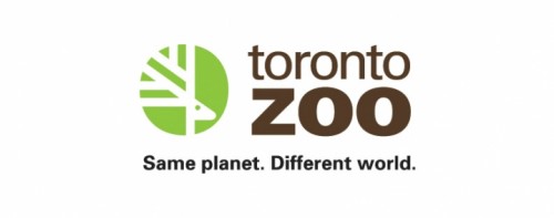 discover-the-5-largest-zoos-in-canada-and-the-ideal-time-to-visit-each