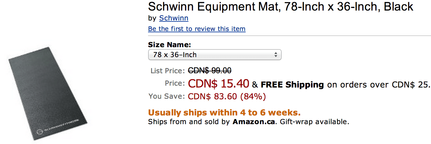 Schwinn-Equipment-Mat