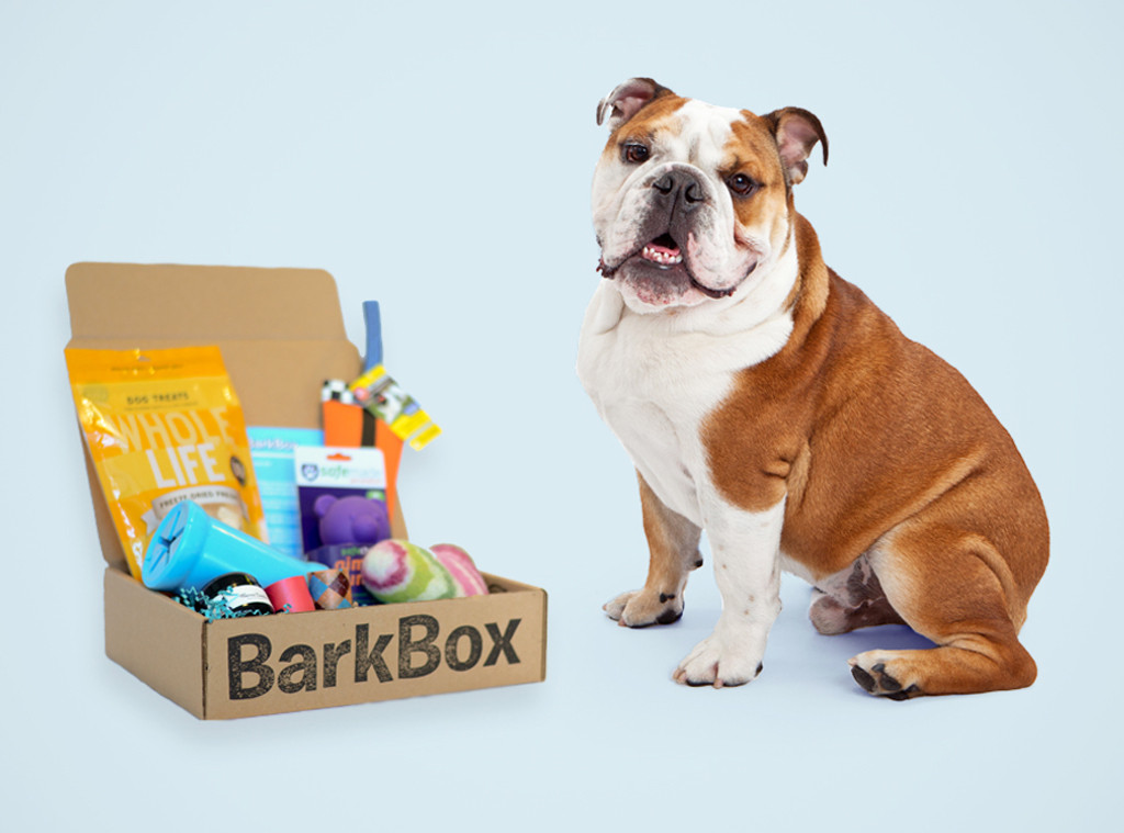 barkbox free gift