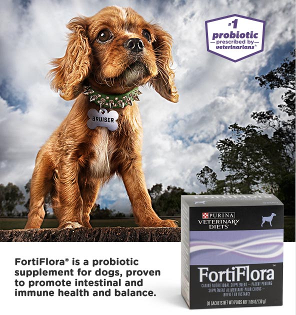 Request your FREE Samples of Purina FortiFlora Dog Vitamins! | Canadian