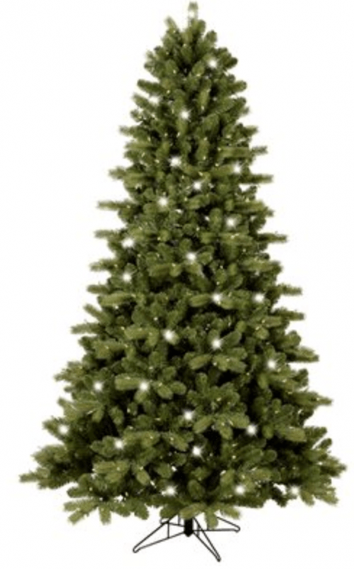 9-10 ft Fraser Fir Real Christmas Tree in the Fresh ...