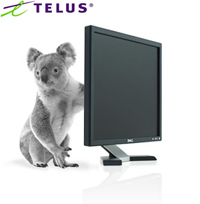 TELUS Internet Offer