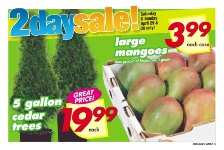 Loblaws deals