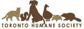 Toronto Humane Society Adoption Blitz