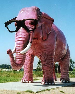 pinkelephant