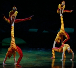 rsz_cirque_du_soleil_ovo_acrosport