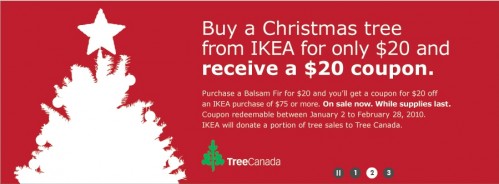 buy-a-christmas-tree2