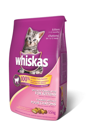 Cat Health from Canzoni Animal
