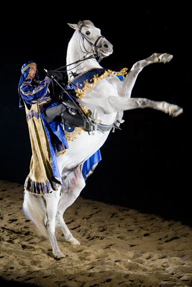 best medieval times coupons