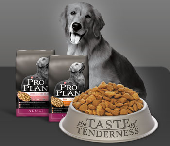 Pro plan best sale dog food coupons