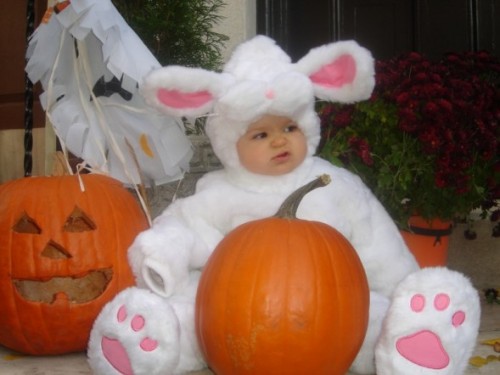 baby_halloween_costume-707808