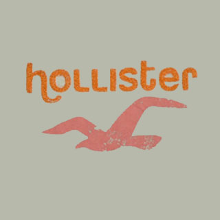hollister-7115