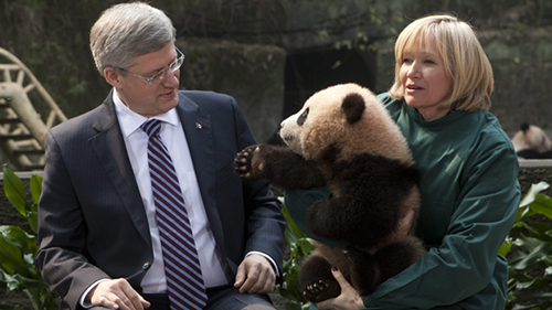 Harper meets a Panda