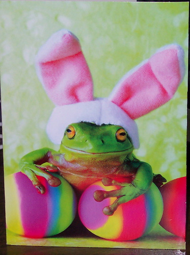 easterfrog