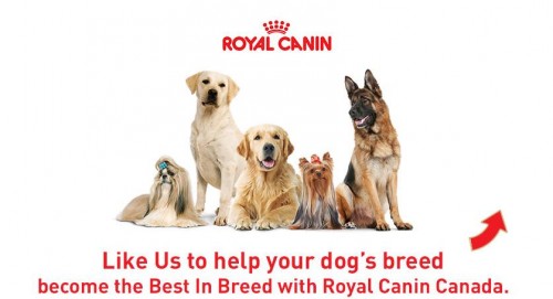 Royal Canin Canada Save 10 on Breed Health Nutrition *Printable