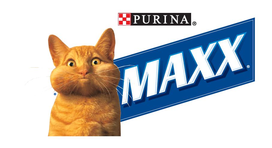maxx kitty litter