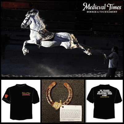 medieval times contest