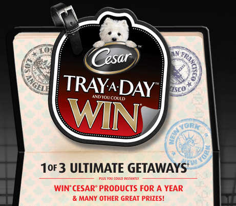 Tray a Day Giveaway