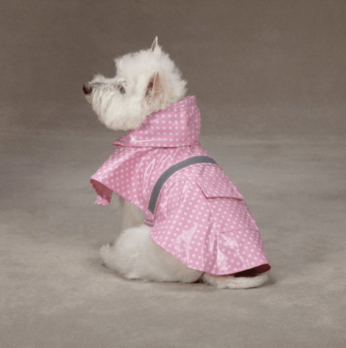 amazon dog coat