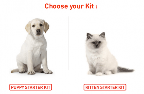 royal canin free kit