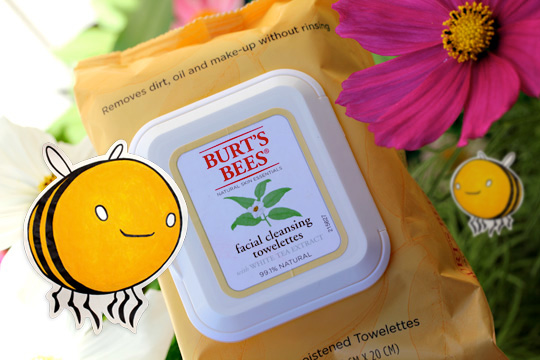 burts-bees-wipes