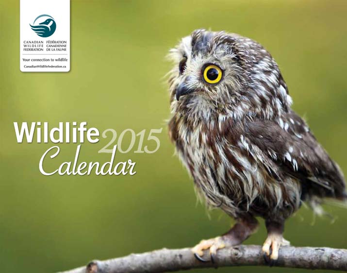 canadian wildlife federation free calendar