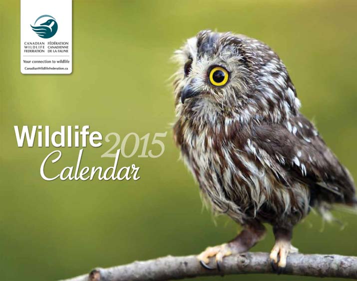 Canadian Wildlife Federation Freebie FREE 2015 Calendar With