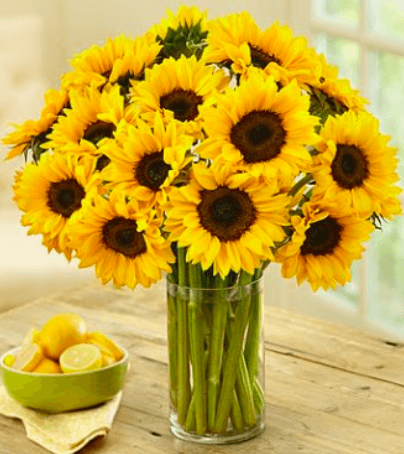 1800-flowers-canada-promo-code