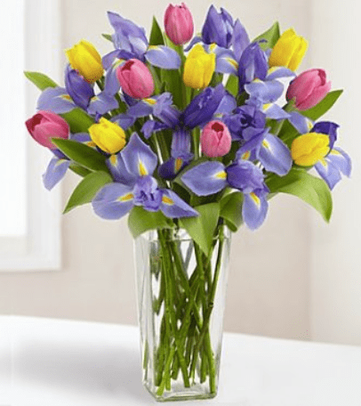 1800-flowers-canada-tulips