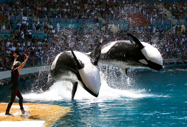 marineland-canada-BMO-days