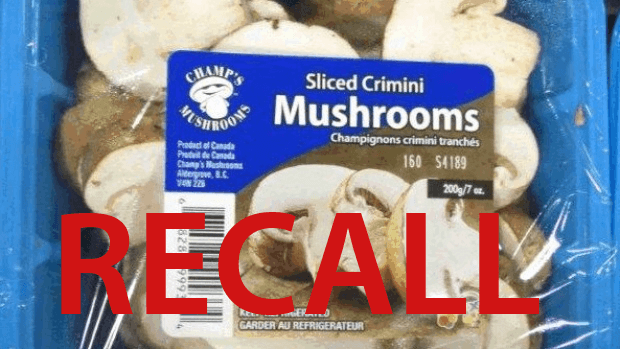 champs-mushroom-recall