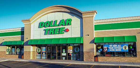 Dollar Tree Canada Finds: Dempsters Whole Grains Bread + More For $1.25 ...