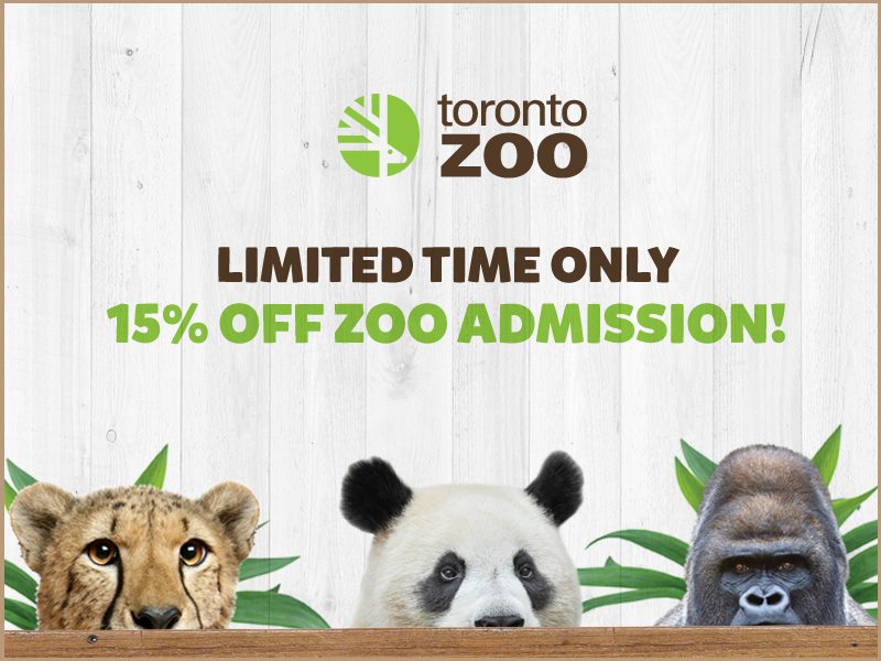 Toronto Zoo Canada Promo Code Offers Receive 15 Off Admission