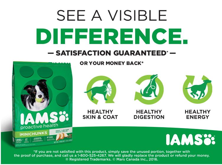Walmart Canada Coupons: Save $4 On Iams Dry Dog Food Canadian