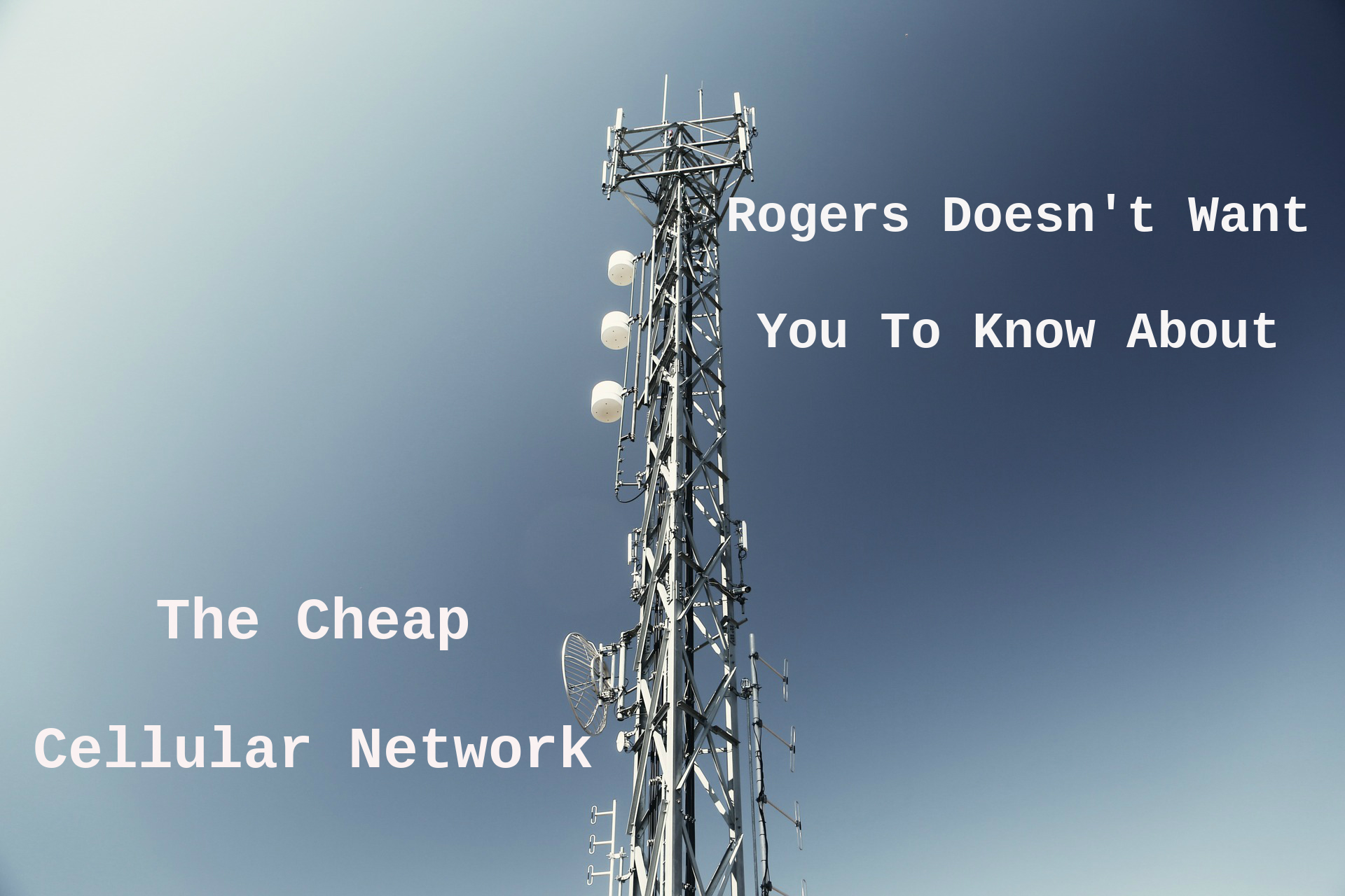 rogers network