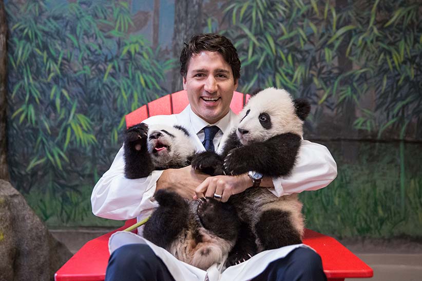 Prime Minister Trudeau meets Canadian Hope and Canadian Joy prior to the panda naming ceremony at the Toronto Zoo. March 7, 2016. (Adam Scotti/PMO)