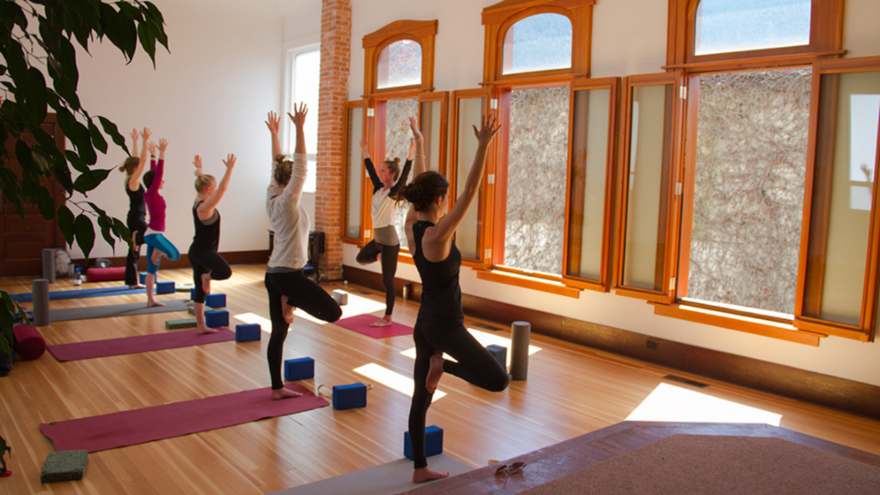 shanti-yoga-studio-teacher-training-asana-with-sarah-bresnahan.