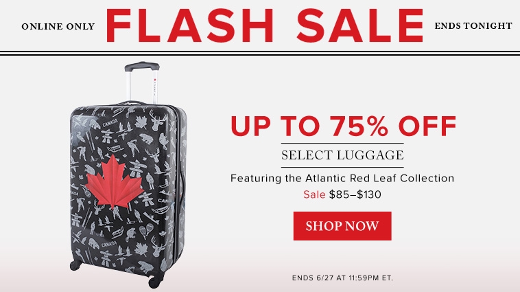 the bay luggage sale