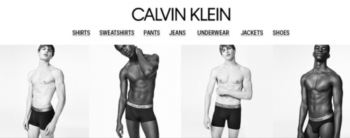 hudson's bay calvin klein underwear