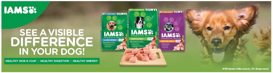 walmart-canada-coupons-save-5-on-iams-dry-dog-food-canadian