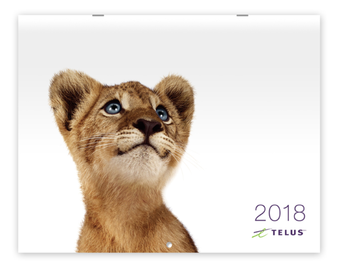 telus-calendar-2017-on-behance
