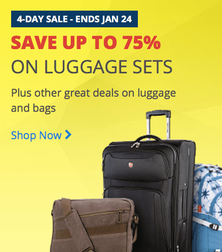 day luggage