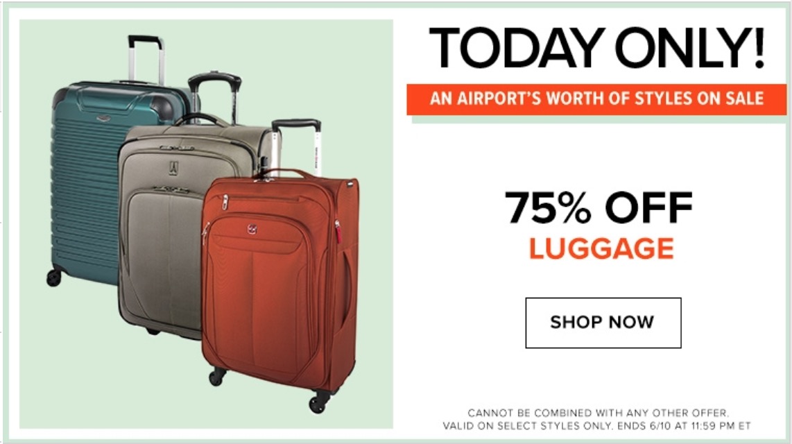 the bay luggage