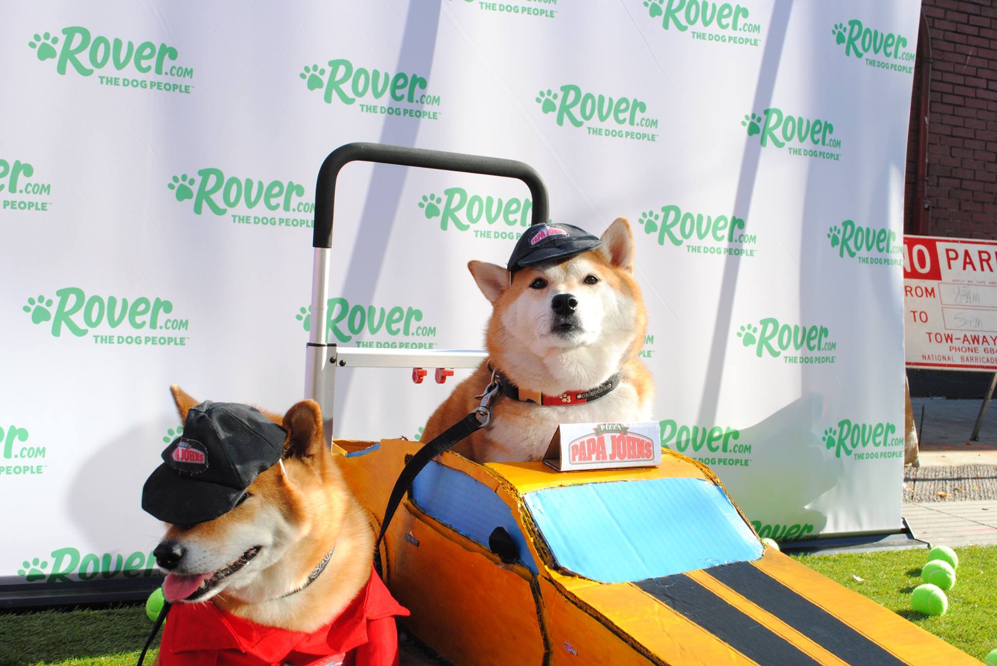 Rover Canada Deal Save 30 Off Pet Sitters & Dog Walkers Bookings