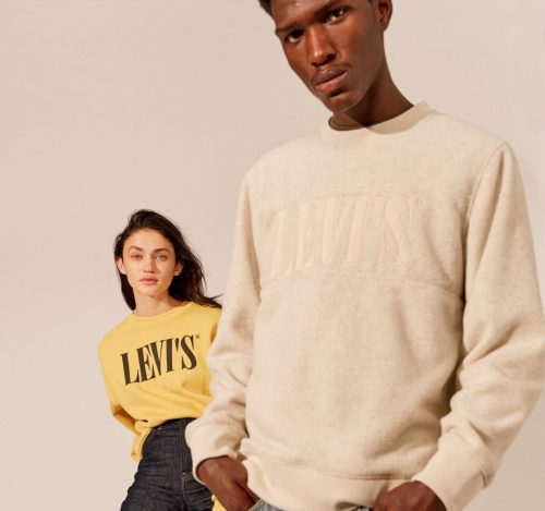levi's friends and family sale