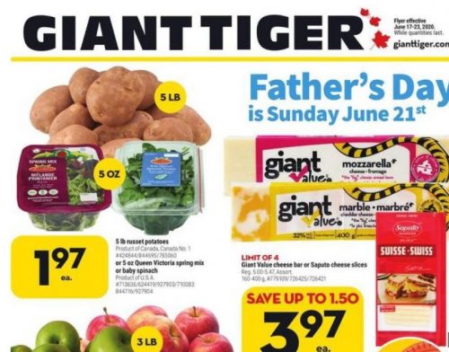 Giant Tiger Canada Flyer Deals June 17th - 23rd - Canadian Freebies ...