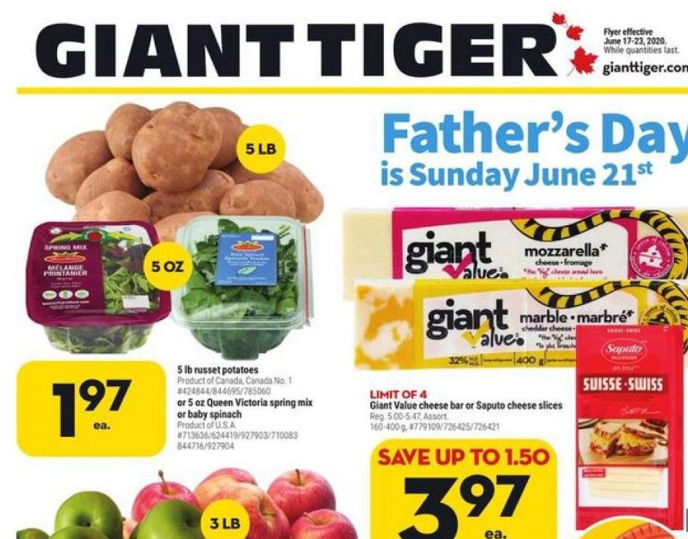 Giant Tiger Canada Flyer Deals June 17th - 23rd - Canadian Freebies