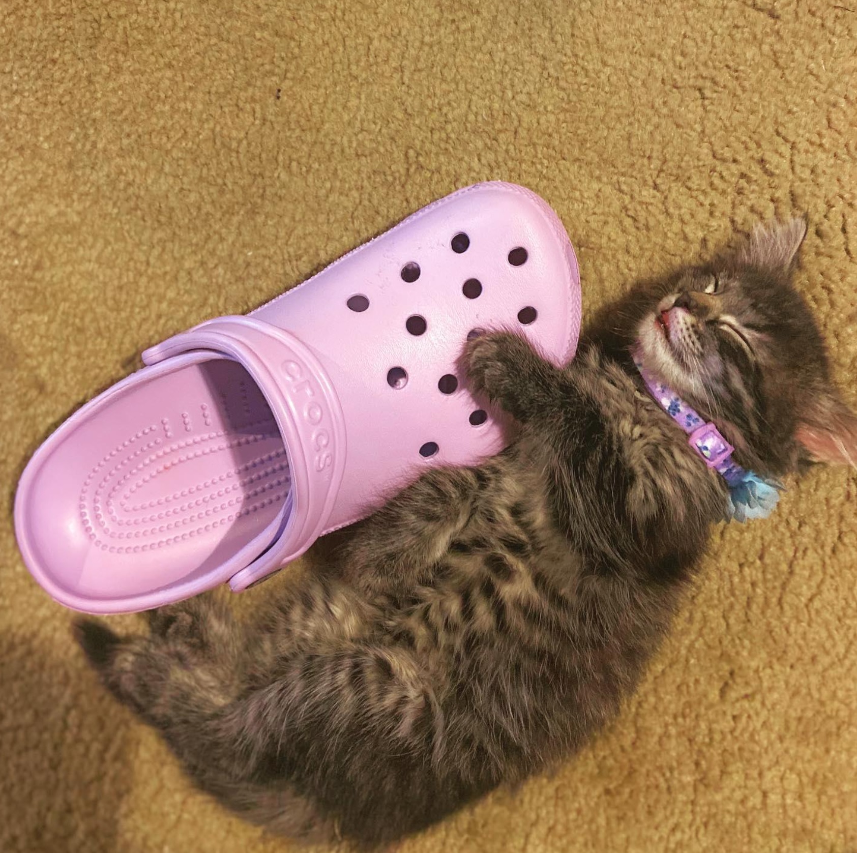 Crocs Canada Deals FREE Jibbitz Charm W Your Purchase Of Any Pair Of 