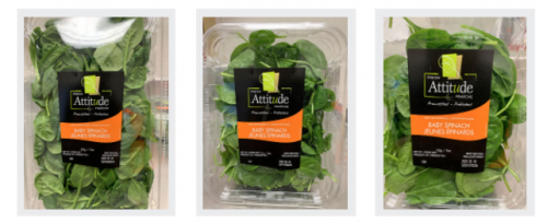 Food Recall Warning Fresh Attitude brand Baby Spinach