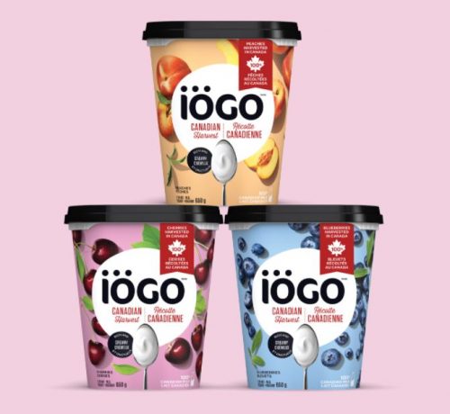 Canadian Coupons: Save $1 On The Purchase of Iogo Harvest Yogurt ...